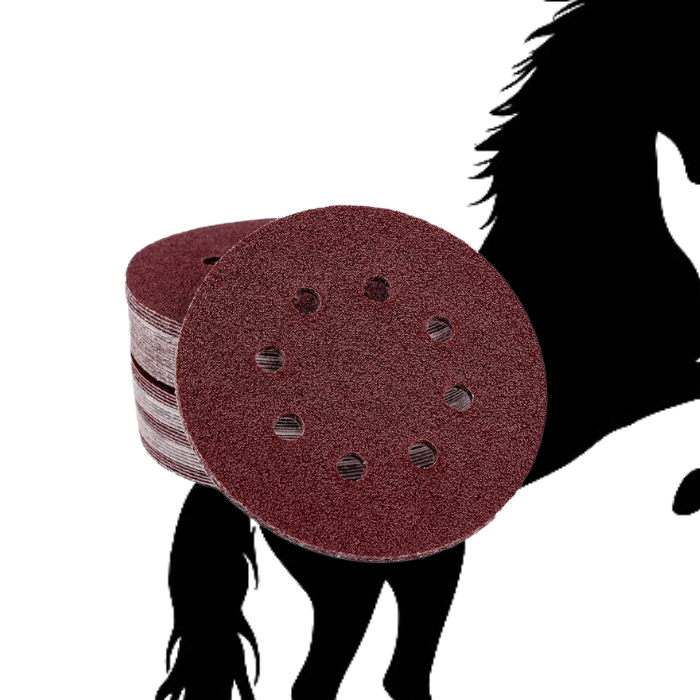 Disques Abrasifs pour ponceuse 10 pcs