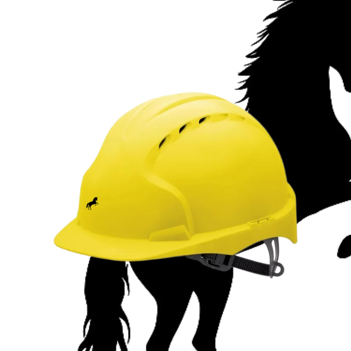 Casque de sécurité ENS