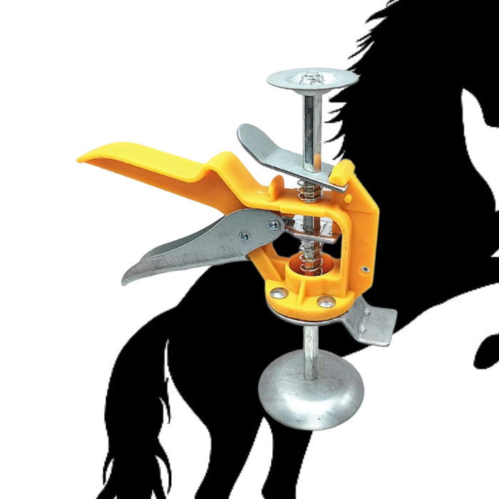 Régulateur de Construction Elévateur