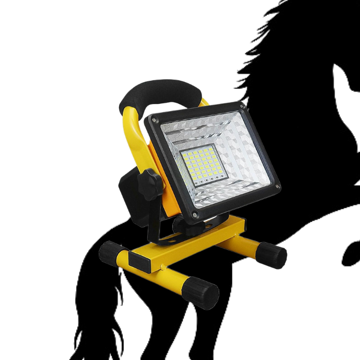 Projecteur LED Portable